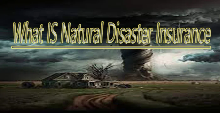 types Natural Disaster Insurance?