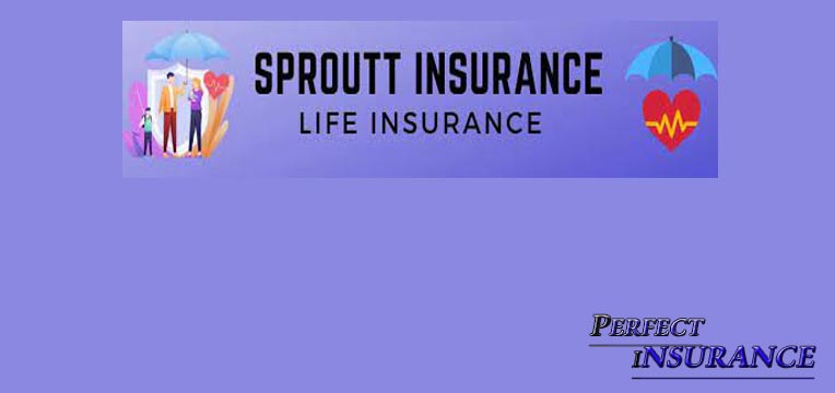 Sproutt Life Insurance Reviews